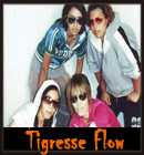 Tigresse Flow - Tigresse Flow