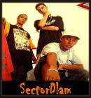 Sector Dlam